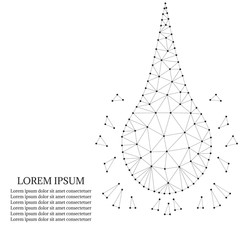 Polygonal water or collagen , black-white