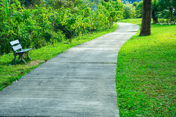 The walk in the park, green lawn with the road concrete design garden landscape