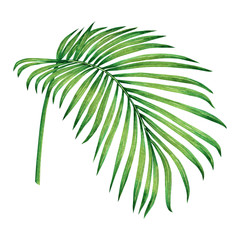 Watercolor painting coconut,palm leaf,green leave isolated on white background.Watercolor hand painted illustration tropical exotic leaf for wallpaper vintage Hawaii style pattern.With clipping path.