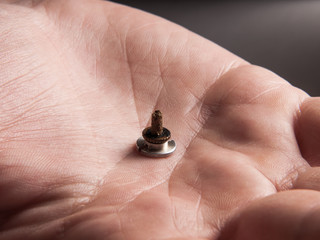 Su Jok moxa in the palm of human hand