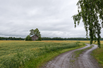 Fototapeta na wymiar Countryside view, field and old barn, Finland