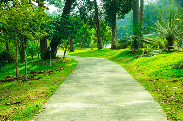 The walk in the park, green lawn with the road concrete design garden landscape