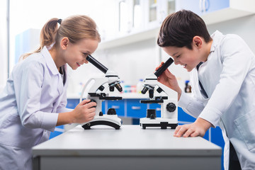 Nice smart children looking into microscopes