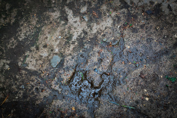 wet concreete surface. Abstract background
