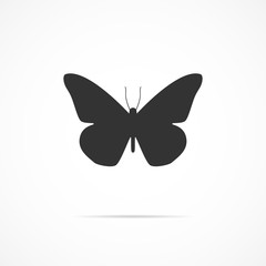 Vector image of butterfly icon.