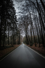 Fototapeta premium Rennrad Fahrer 