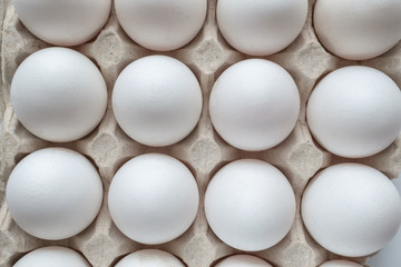 White eggs on white background.