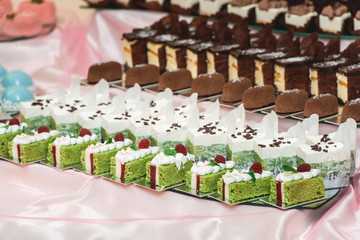 Cute candy bar with various pastry and cakes. Wedding sweets