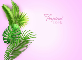 Fototapeta premium Vector realistic tropical leaves exotic vacation