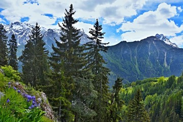 Swiss Alps-view on the Engadin