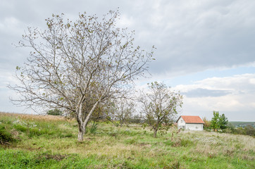 Lonely house on the outskirts of the village 