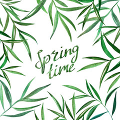 Hand drawn watercolor illustration of oblong leaves on branches in frame. Decorative graphic elements for wedding branding, invitations, gift card. Isolated on white background. Spring time lettering.