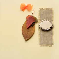 Happy Thanksgiving day / Creative thanksgiving day concept photo of leaves on yellow background.