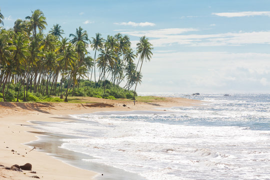 Sri Lanka, Rathgama - Lovely natural beach landscape of Rajgama aka Rathgama