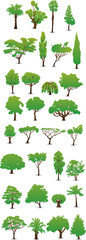Tree set  / Creative conceptual vector. Drawn tree set.