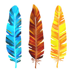 Hand painted watercolor feathers