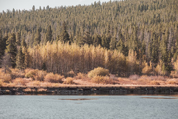 Lily Lake at Rocky Mountains, Colorado, USA.