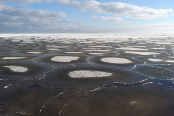 Kra na Morzu Bałtyckim © Iwona