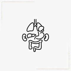 intestine line icon