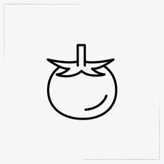 tomato line icon