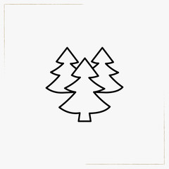 spruce line icon