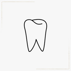 teeth root line icon