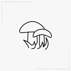 mushrooms line icon