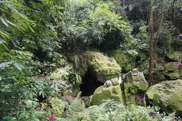 Entrance of the cave in Bali Indonesia in the jungle