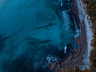 Coastline beach and algae aerial shot