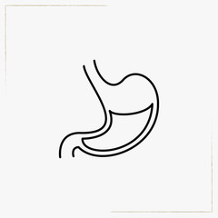 stomach line icon