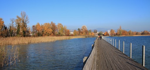 Timber footbridge connecting Rapperswil and Hurden. Lake Obersee, reed and golden trees. Autumn scene in Switzerland.