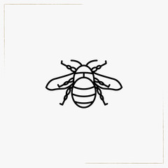 fly line icon