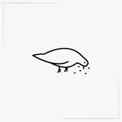 dove line icon