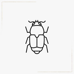 beetle line icon