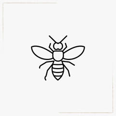 wasp line icon