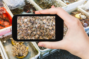 tourist photographs mollusks on market in China