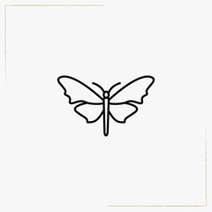 butterfly line icon