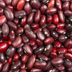 Red kidney beans texture background