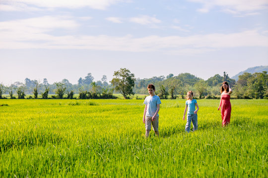 Family walking in rice field