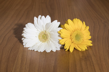 Sunflowers composition on a wood table