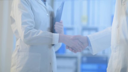 Doctors meeting and shaking hands
