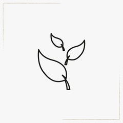 leaf line icon