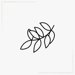 tea leaf line icon