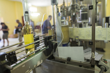 White wine bottles labeled in a winery