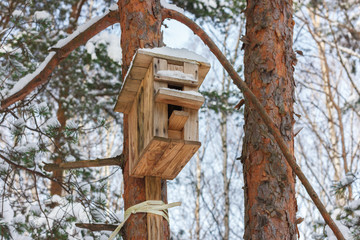 On a cold winter day, we take care of nature. Bird feeders for forest and park birds