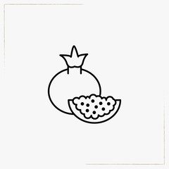 pomegranate line icon