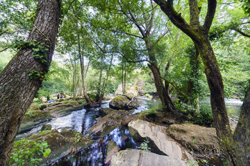 Obraz premium Large stones that form a natural dam in the channel of the mountain river called Anllons in a typically Atlantic forest in Galicia, Spain