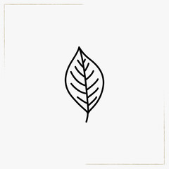 leaf line icon