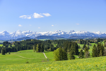 Frühlingshafte Natur im Alpenvorland des Ostallgäus