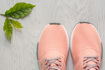 Close up running shoes  on rustic wood,Cleaning shoes concept,Sport shoes.